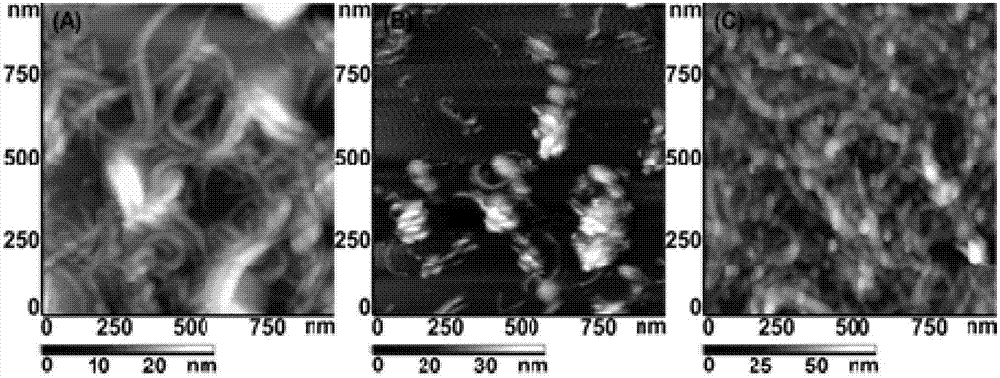 Copper nanoparticle/pyrocatechol violet/carbon nanotube-modified electrode and application thereof