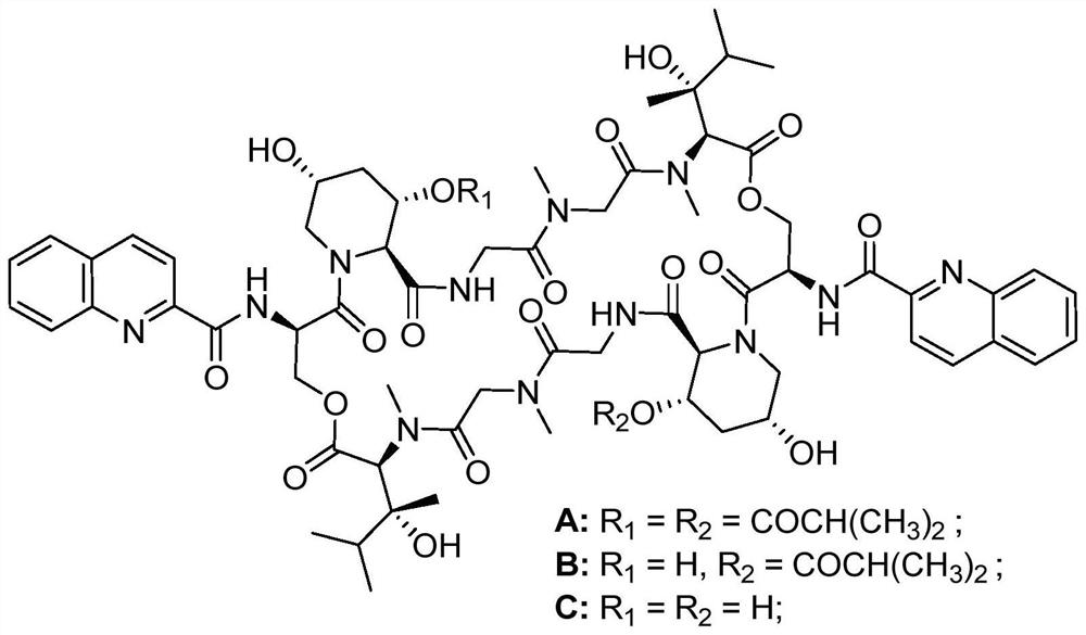 Ester peptide compound as well as preparation method and application thereof