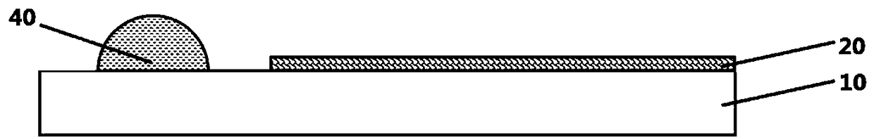 A display device and a preparation method thereof