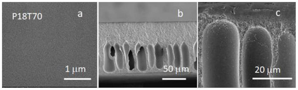 Method for preparing high-performance hydrophilic modified polyacrylonitrile membrane by combining in-situ modification with phase separation technology