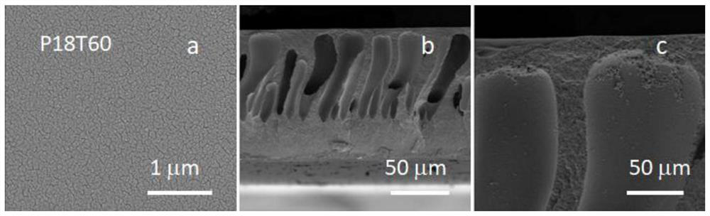 Method for preparing high-performance hydrophilic modified polyacrylonitrile membrane by combining in-situ modification with phase separation technology