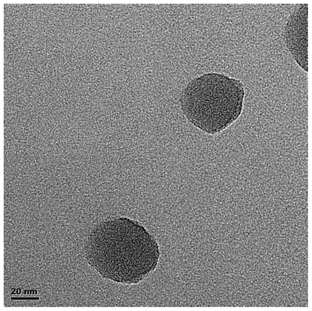 Pyrrole and selenophenyl copolymer nanoparticles as well as preparation method and application thereof