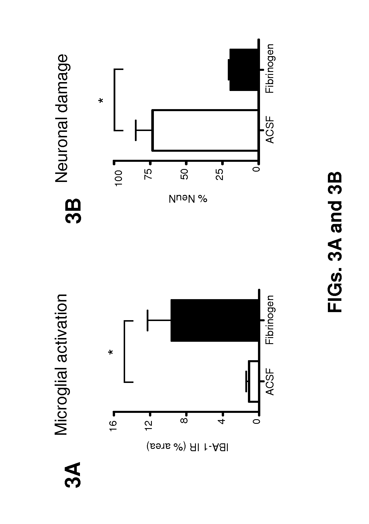 Animal model of neuronal injury