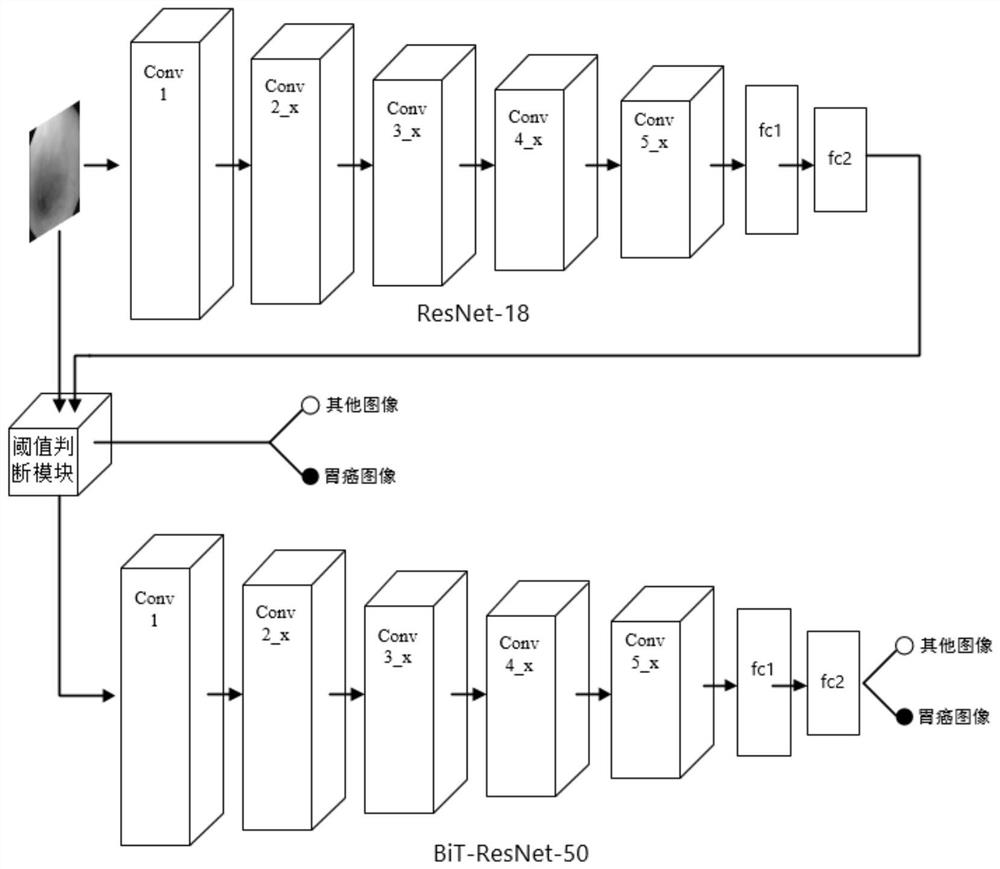 An image classification model construction method and device, an image classification method and device and electronic equipment