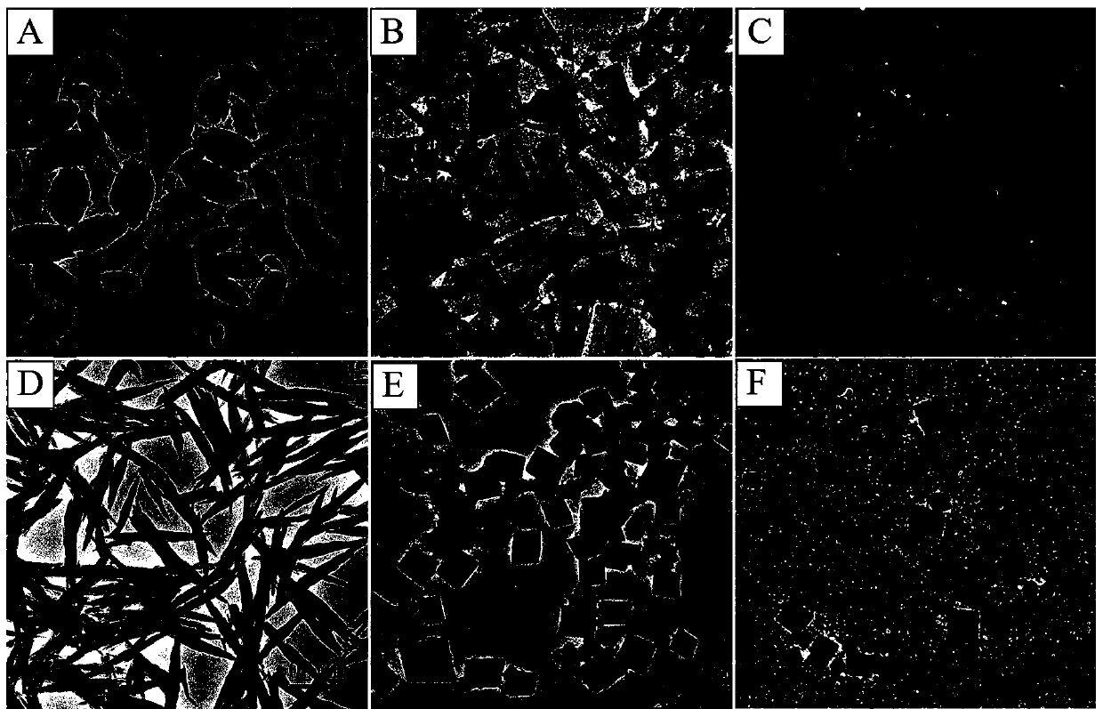 Heme and pyridyl metalloporphyrin co-assembled nano material as well as preparation method and application thereof