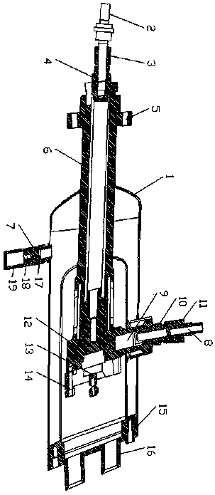 Ethylene low-temperature reciprocating pump