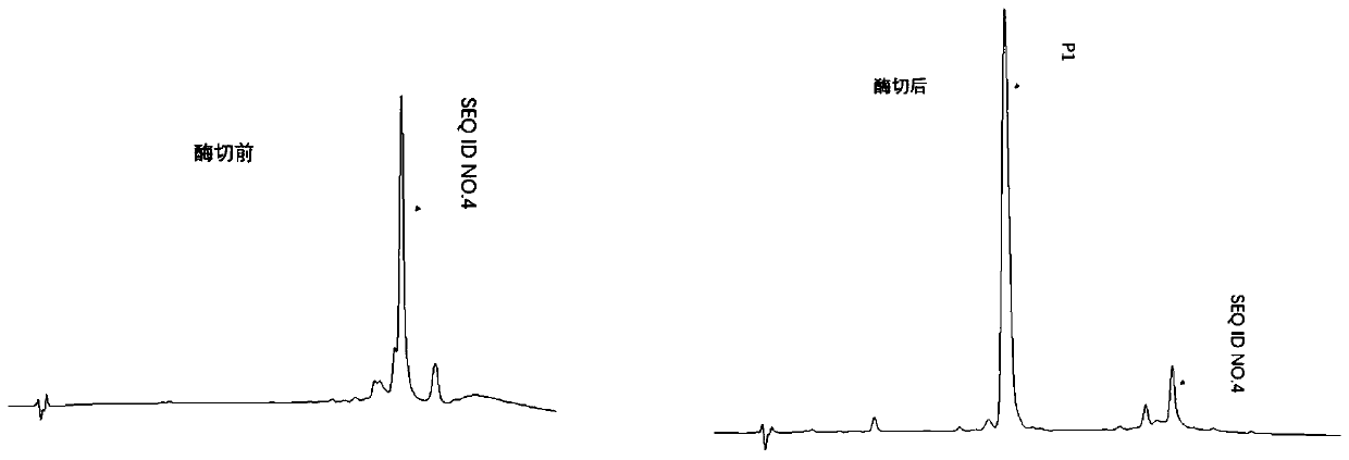 Method for preparing polypeptide by utilizing thermally-stabilised fusion protein