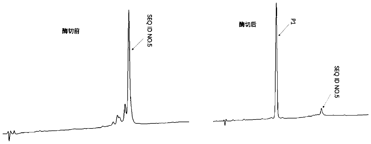 Method for preparing polypeptide by utilizing thermally-stabilised fusion protein