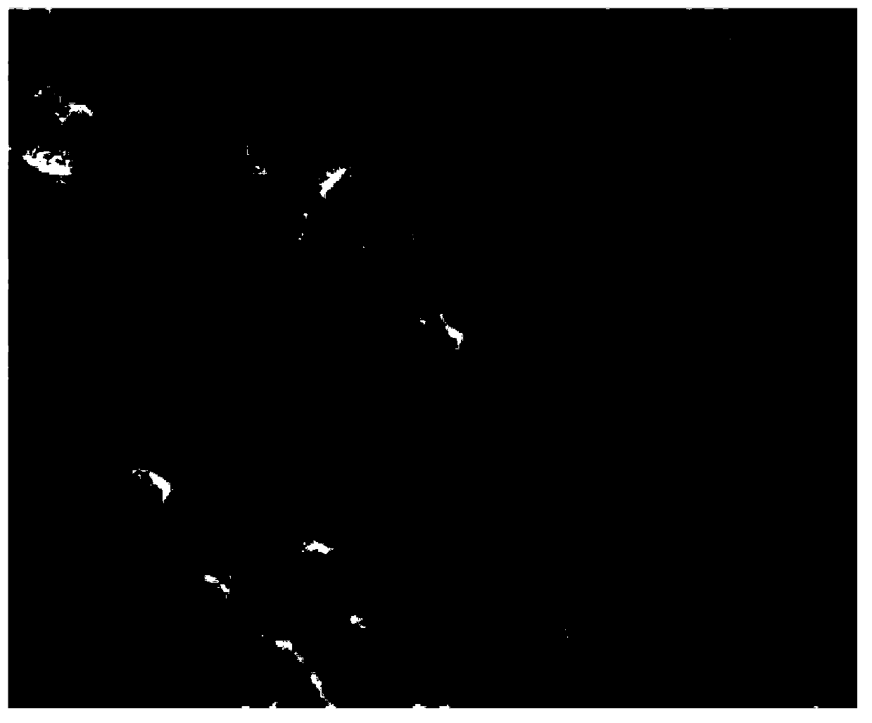 Kelp microcrystalline cellulose and preparation method thereof as well as application of prepared kelp microcrystalline cellulose