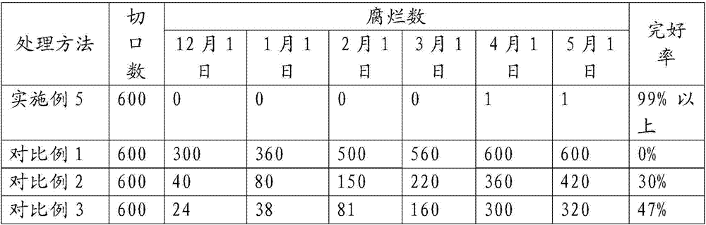 Chinese yam preservative, preparation method of preservative and normal temperature fresh-keeping method for Chinese yams