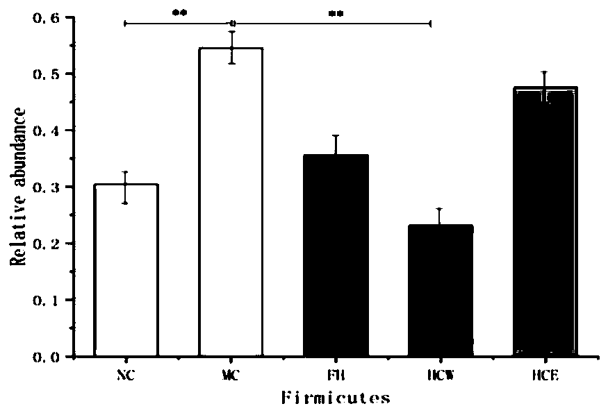 Flowering day lily extract, preparation method and usage of flowering day lily extract, and antidepressant drug combination