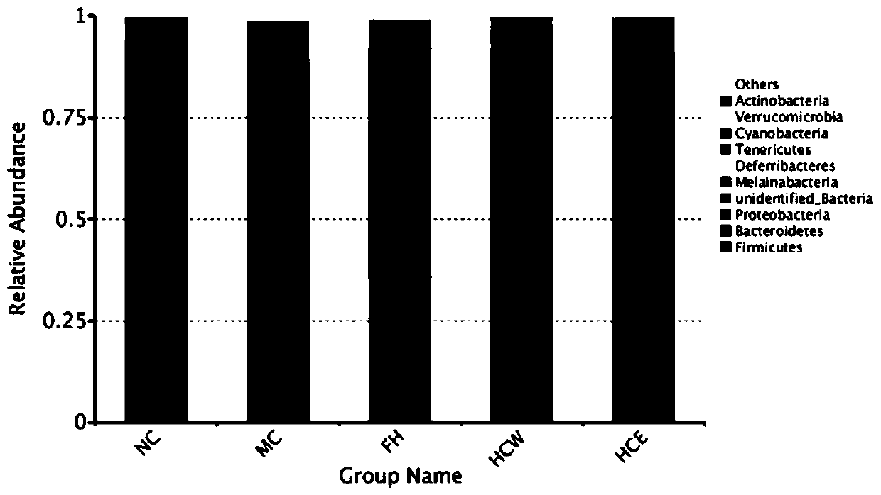 Flowering day lily extract, preparation method and usage of flowering day lily extract, and antidepressant drug combination