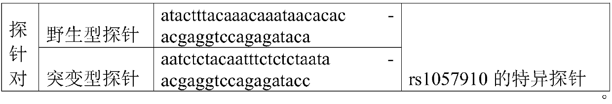 Detection method for genotype detection on CYP2C9 site and kit thereof