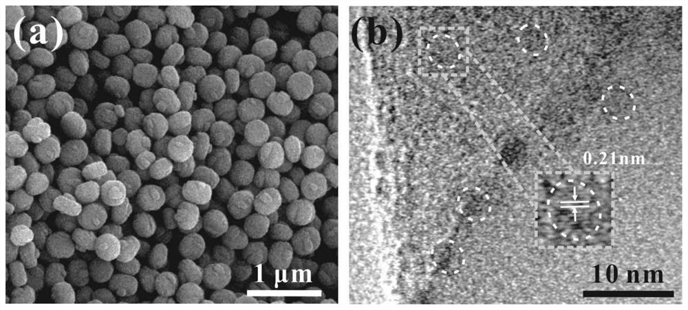 Solid carbon dot zeolite composite material fingerprint developing powder and preparation method thereof