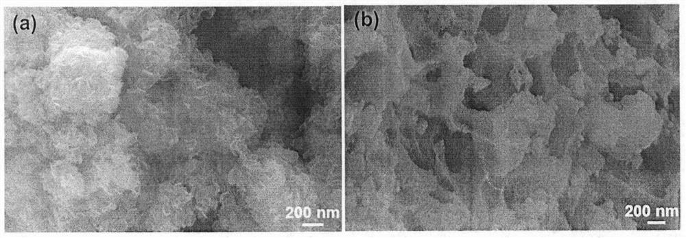 Preparation method and application of phosphorus-doped molybdenum disulfide/porous carbon composite material