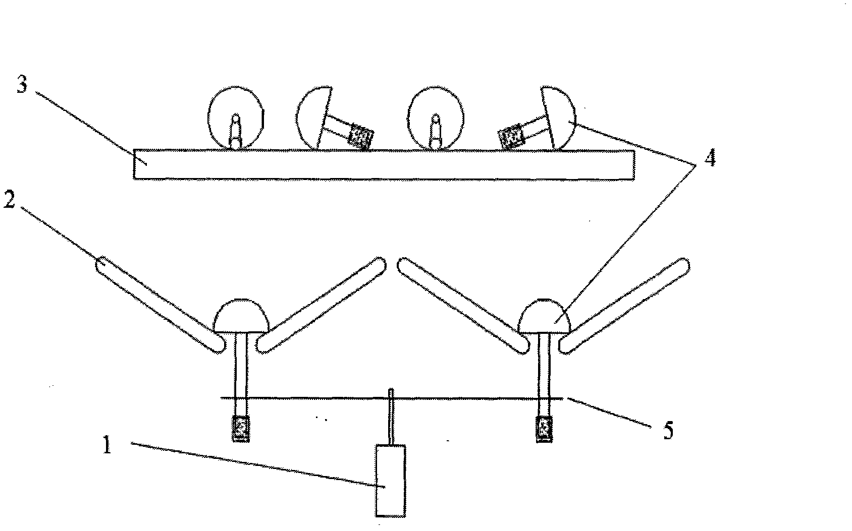 Automatic root peeler for Pholiota nameko