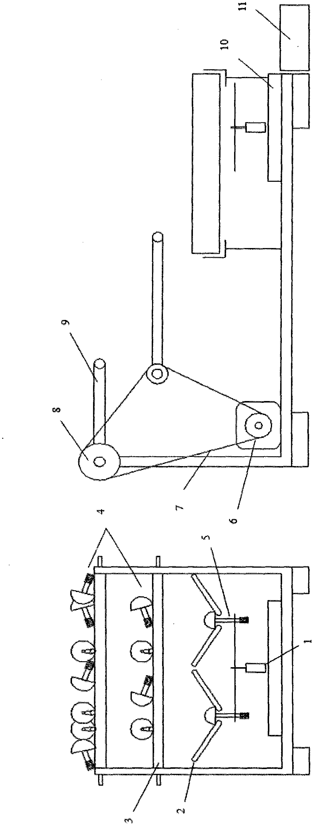 Automatic root peeler for Pholiota nameko