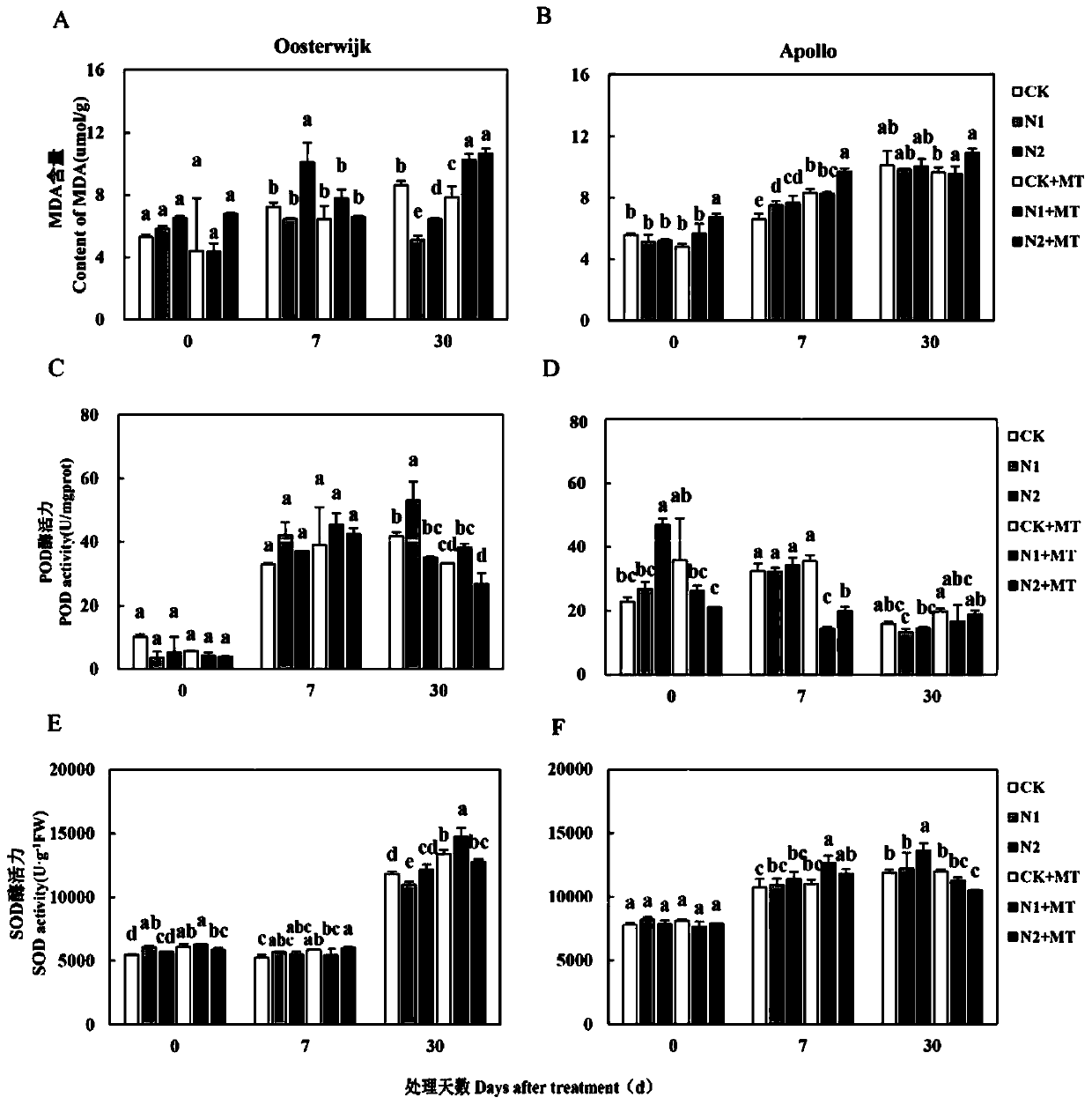 Research method for increasing oxidation resistance of Ilex verticillata