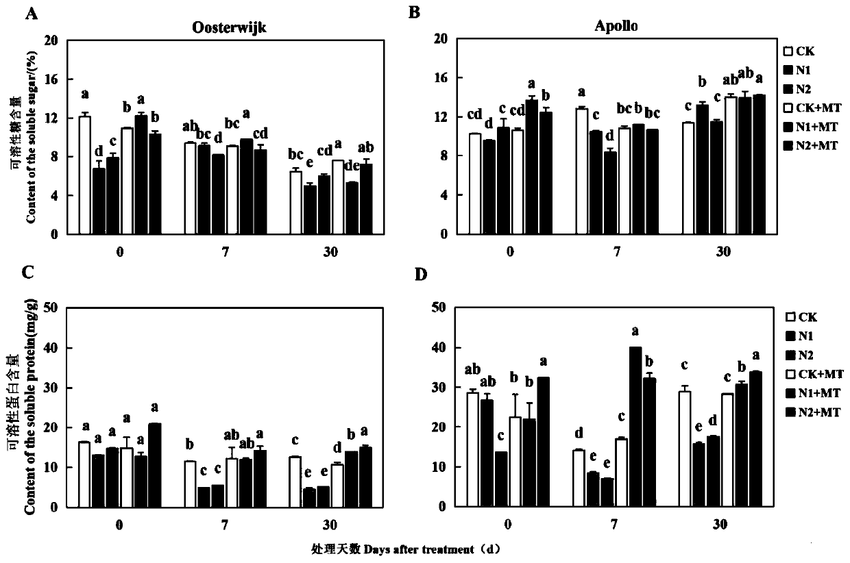 Research method for increasing oxidation resistance of Ilex verticillata