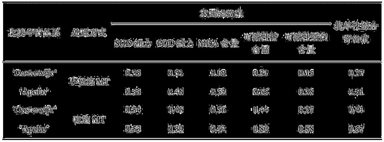 Research method for increasing oxidation resistance of Ilex verticillata