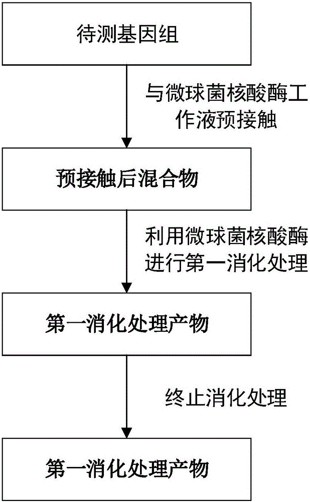 Method for constructing DNA sequencing library of genome under detection and application of method