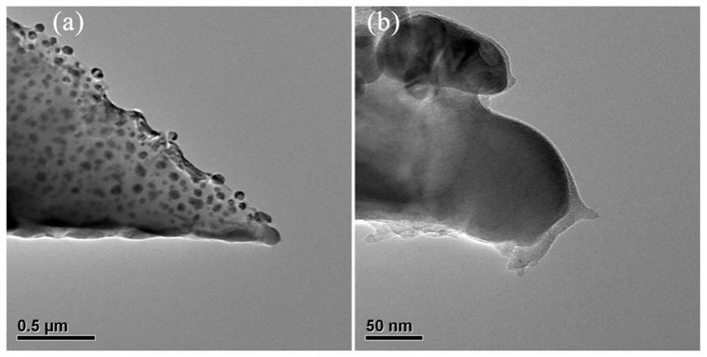 Preparation method of graphene functionalized silicon-based probe