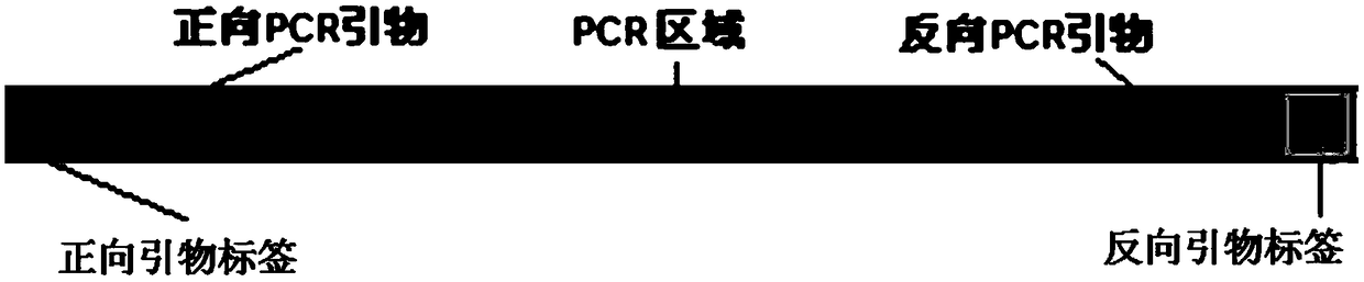 Kit for simultaneously detecting thalassemia mutant type and deletion type and application thereof