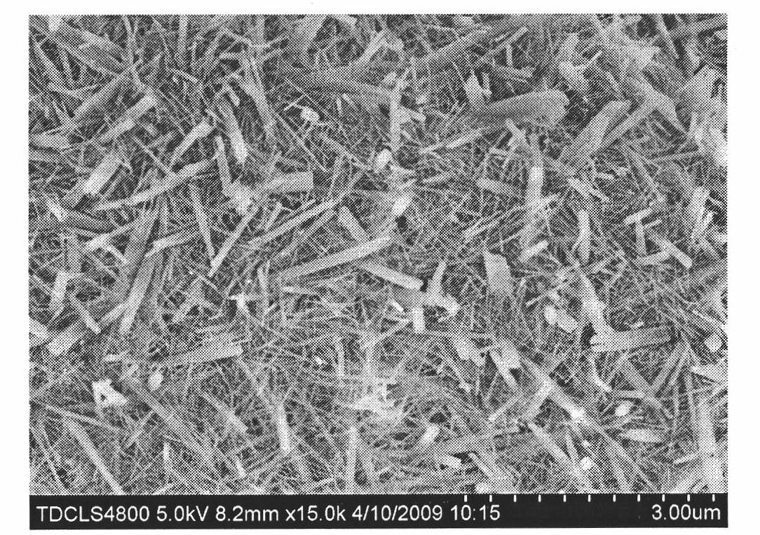 Method for growing and preparing aluminium borate whisker/ aluminium composite powder on aluminium powder surface in situ