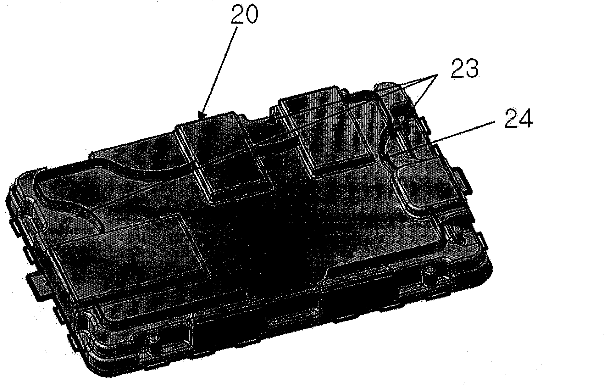 Carrier box for polarizer