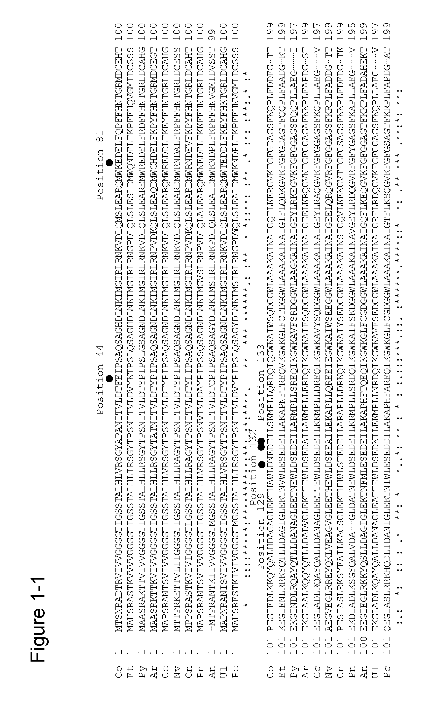 MODIFIED AMADORIASE AND METHOD FOR PRODUCING THE SAME, AGENT FOR IMPROVING SURFACTANT RESISTANCE OF AMADORIASE AND COMPOSITION FOR MEASURING HbA1c USING THE SAME