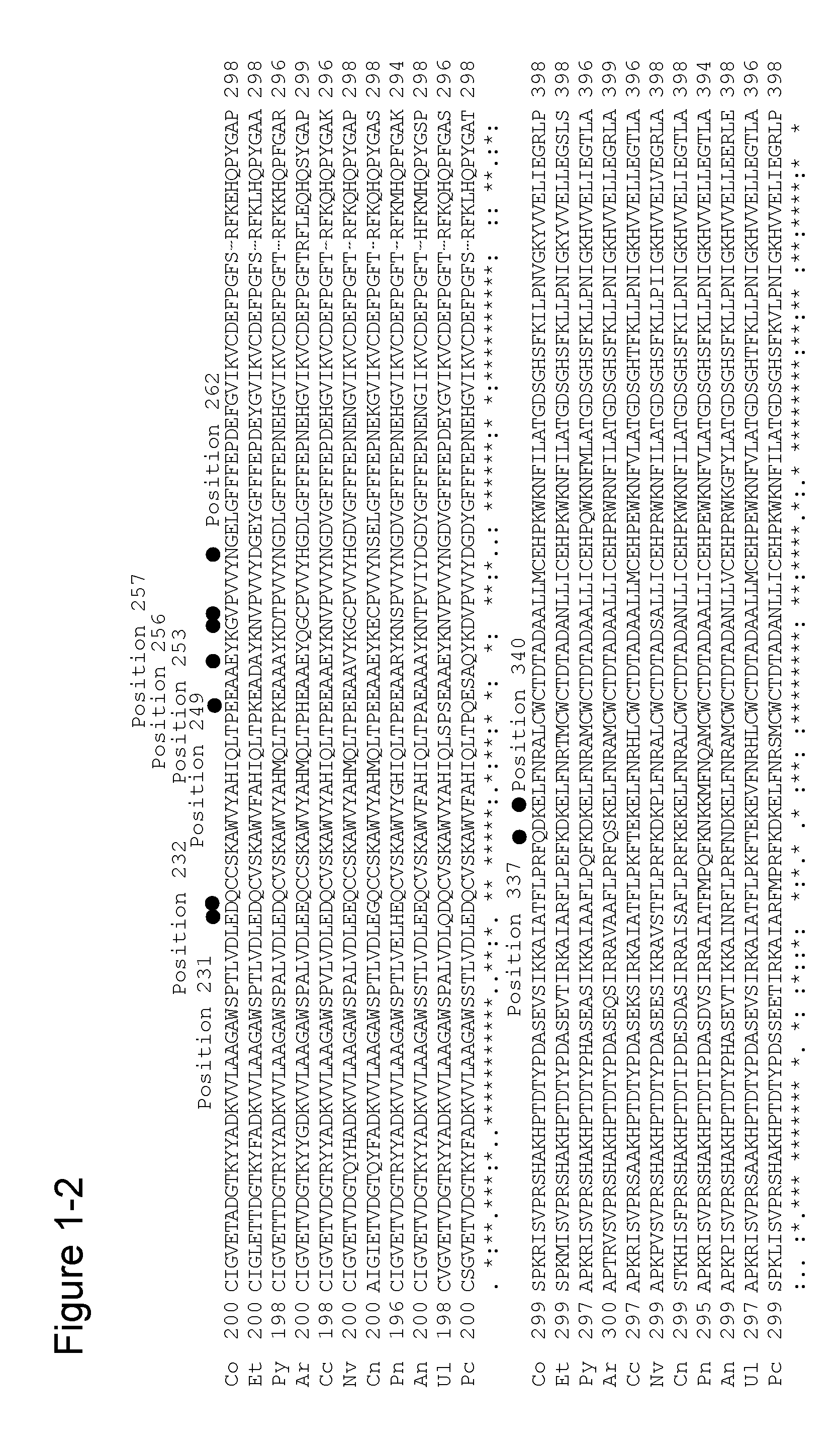 MODIFIED AMADORIASE AND METHOD FOR PRODUCING THE SAME, AGENT FOR IMPROVING SURFACTANT RESISTANCE OF AMADORIASE AND COMPOSITION FOR MEASURING HbA1c USING THE SAME