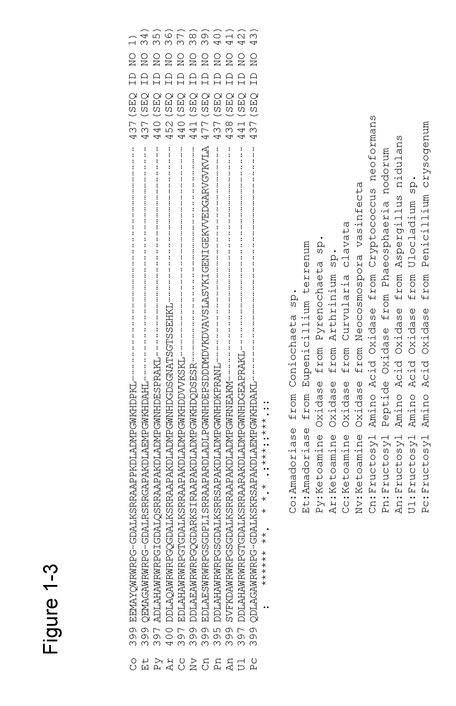 MODIFIED AMADORIASE AND METHOD FOR PRODUCING THE SAME, AGENT FOR IMPROVING SURFACTANT RESISTANCE OF AMADORIASE AND COMPOSITION FOR MEASURING HbA1c USING THE SAME