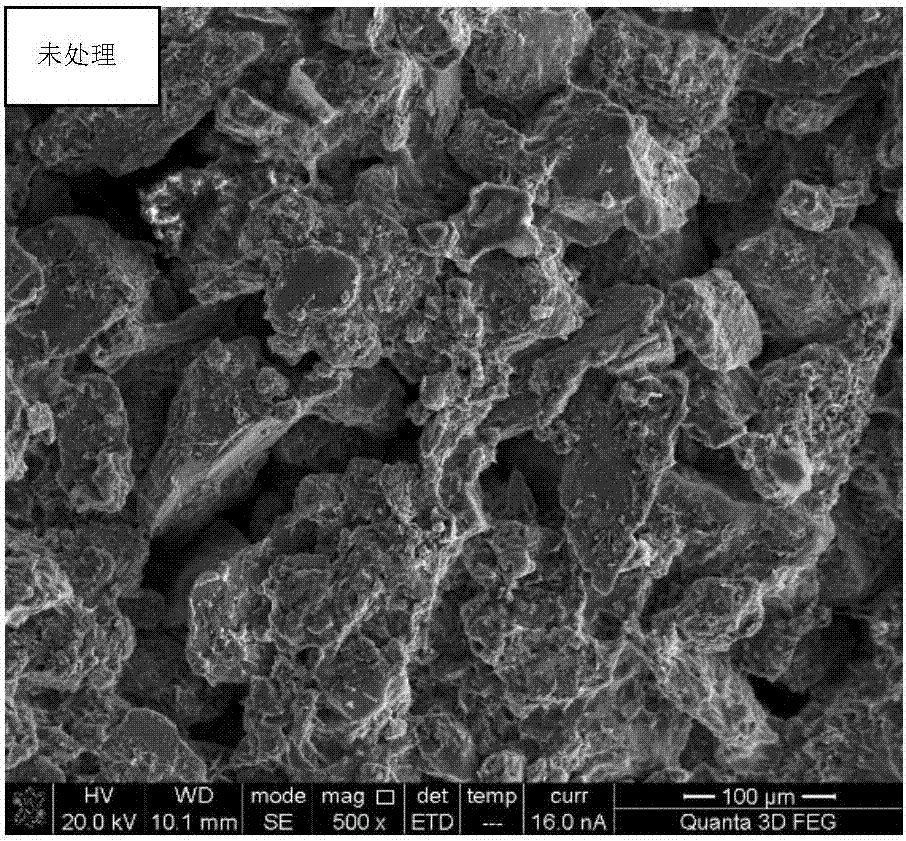 Microbial dust suppressant and application thereof