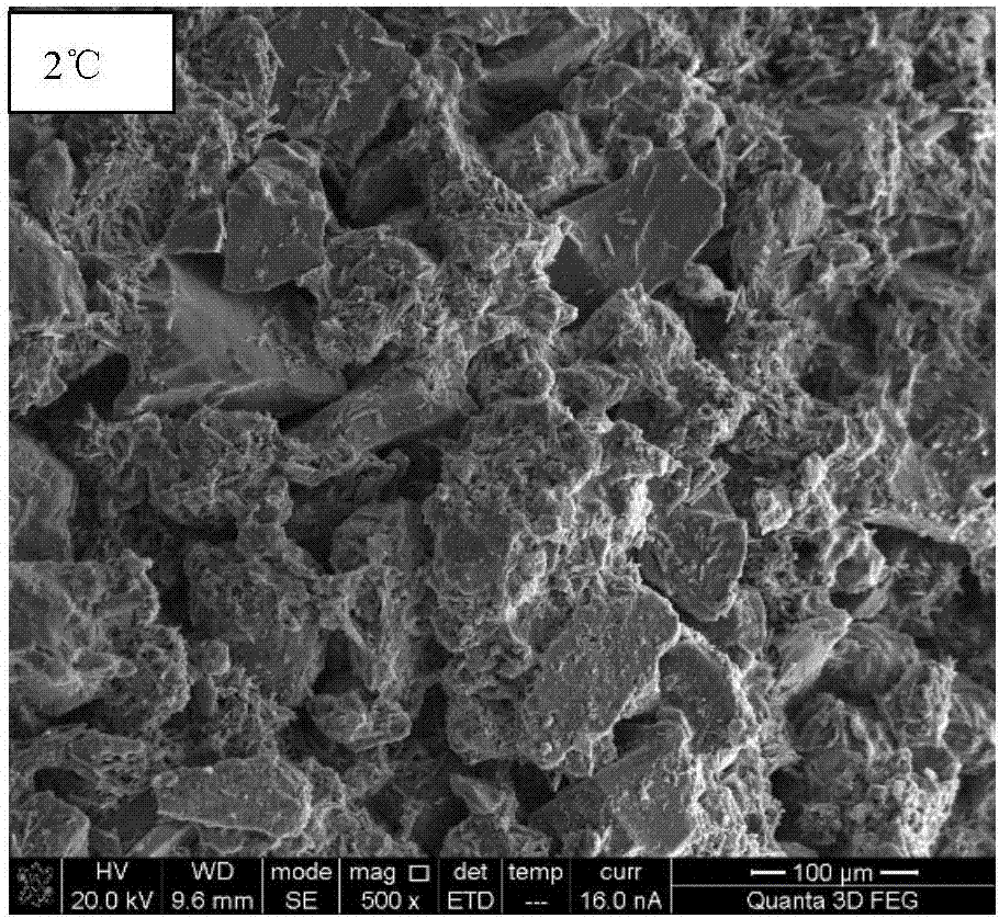 Microbial dust suppressant and application thereof