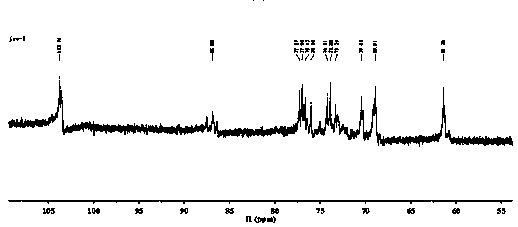 Extraction method for phellinus vaninii polysaccharide