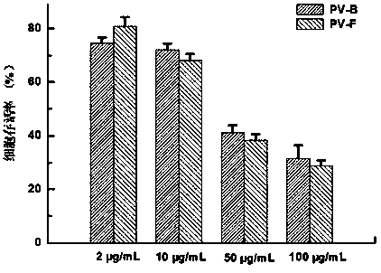 Extraction method for phellinus vaninii polysaccharide