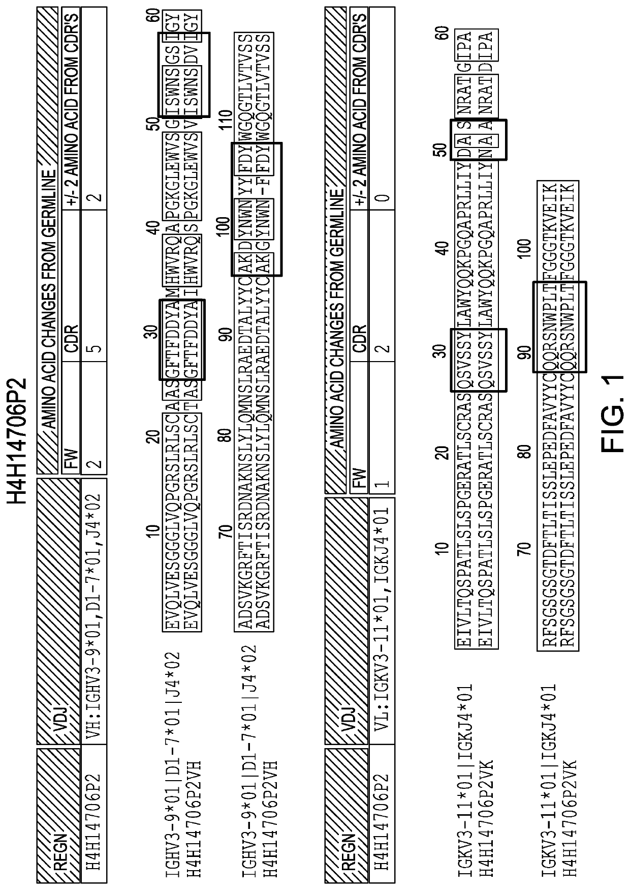 Anti-il36r antibodies