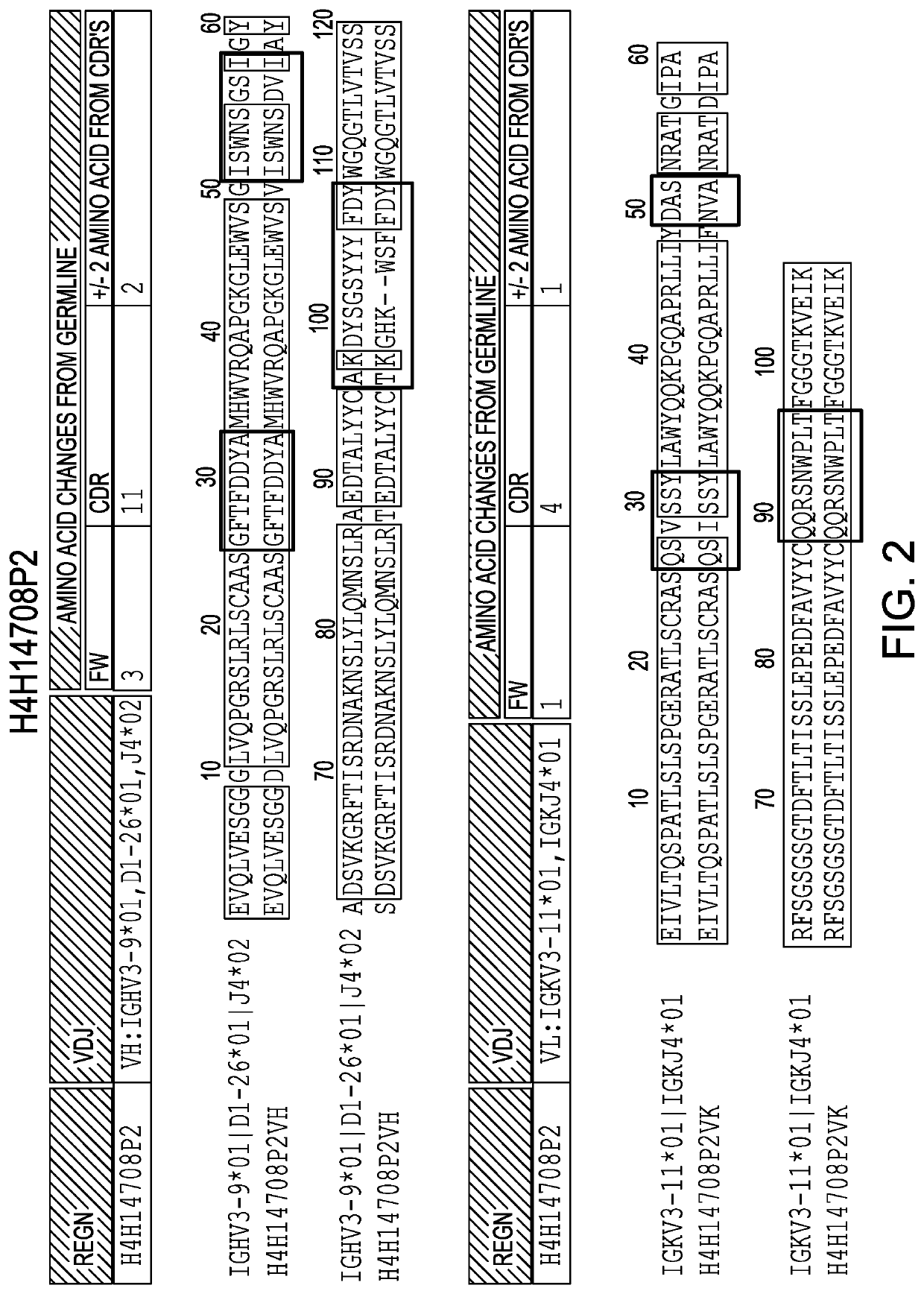 Anti-il36r antibodies