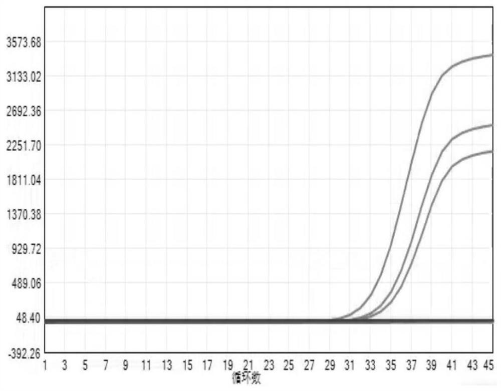 Lysis binding solution for rapidly extracting RNA by paramagnetic particle method, kit and application thereof