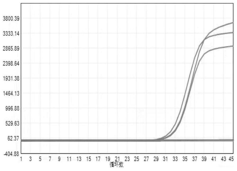 Lysis binding solution for rapidly extracting RNA by paramagnetic particle method, kit and application thereof