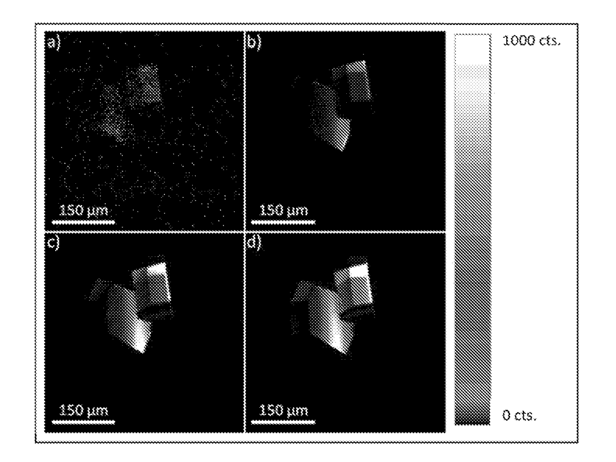 Methods for second harmonic generation imaging of protein crystals