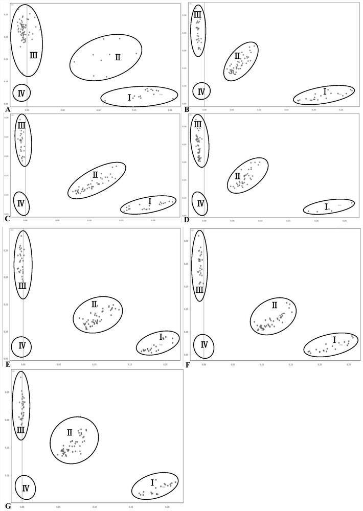 SNP locus combination for detecting resistance of tomato gray leaf spot disease and application thereof