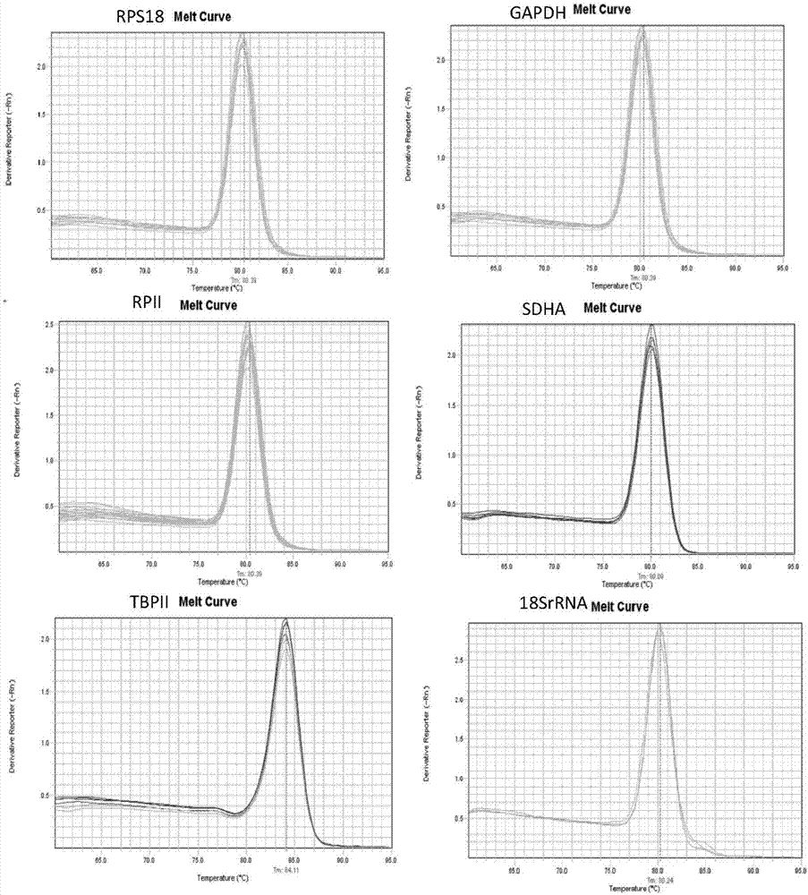 Reference gene for stable expression of red wheat blossom midges in different growth periods and application of reference gene