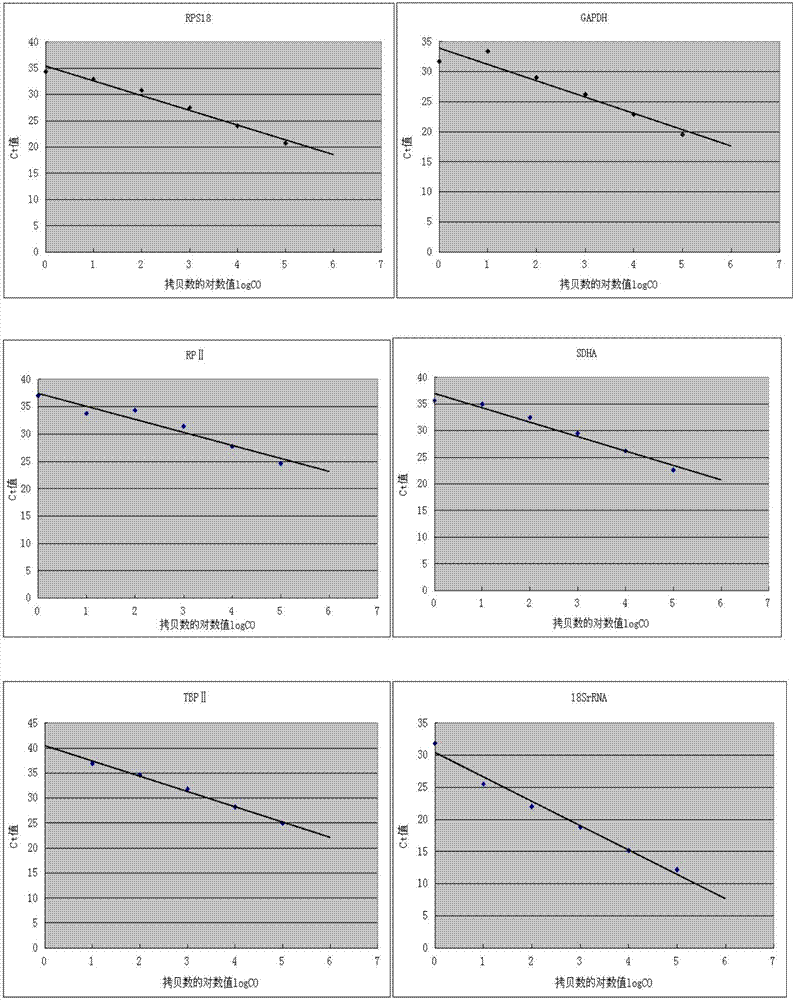 Reference gene for stable expression of red wheat blossom midges in different growth periods and application of reference gene