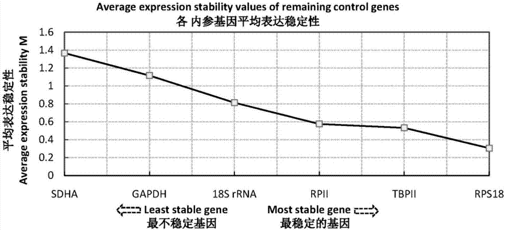 Reference gene for stable expression of red wheat blossom midges in different growth periods and application of reference gene