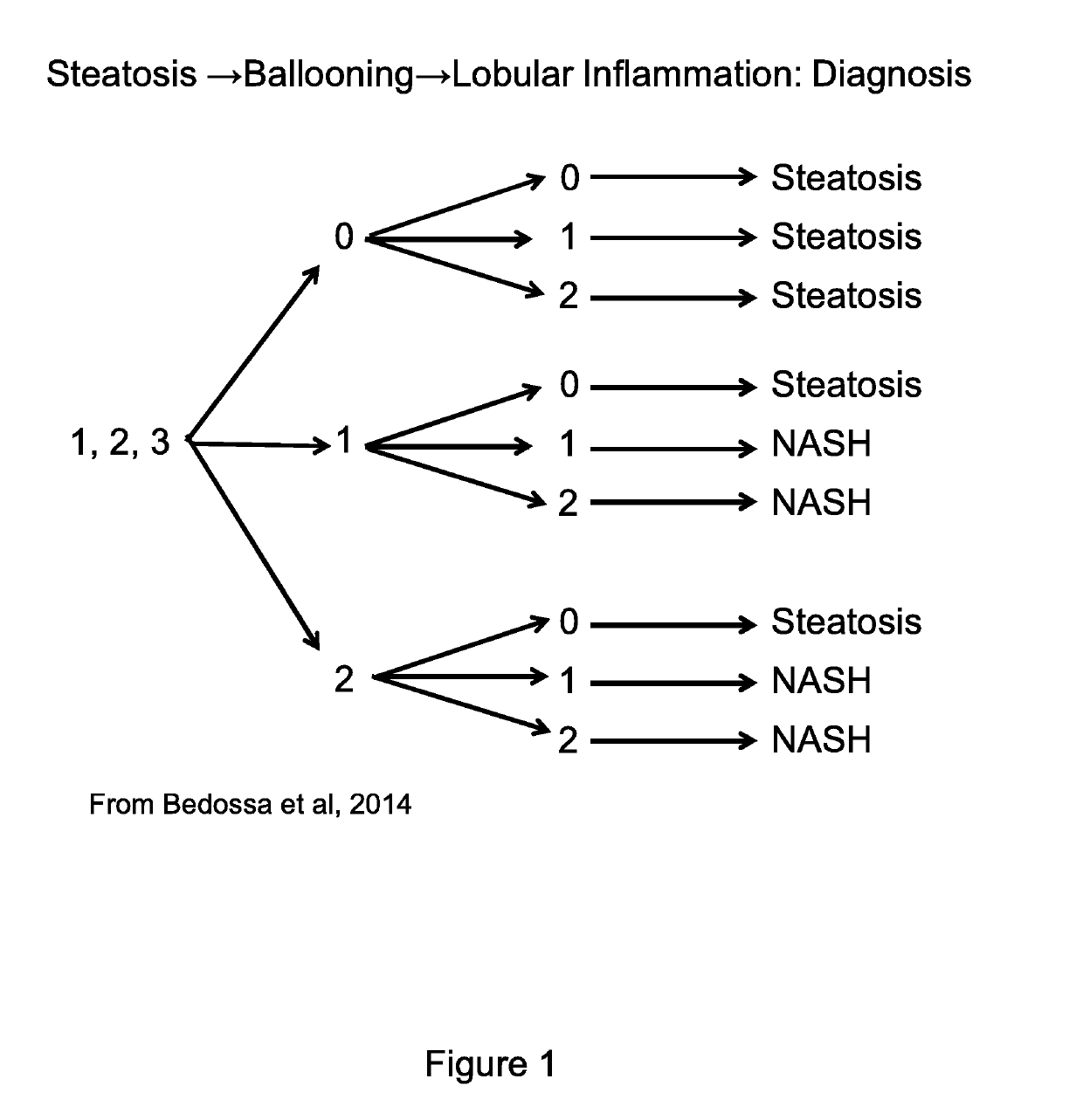 Method of diagnosis of non-alcoholic fatty liver diseases