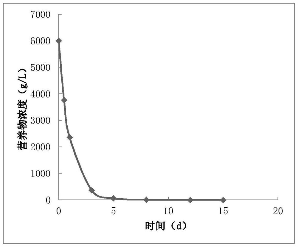 Microbial oil recovery numerical simulation method based on reaction kinetic model