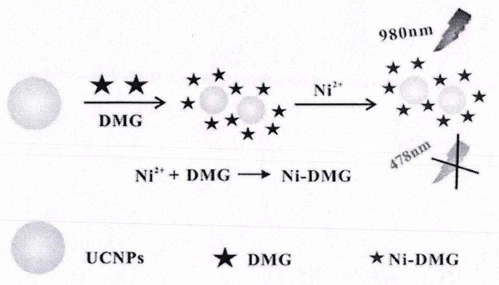 Method for detecting Ni(II) based on up-conversion fluorescence inner filter effect