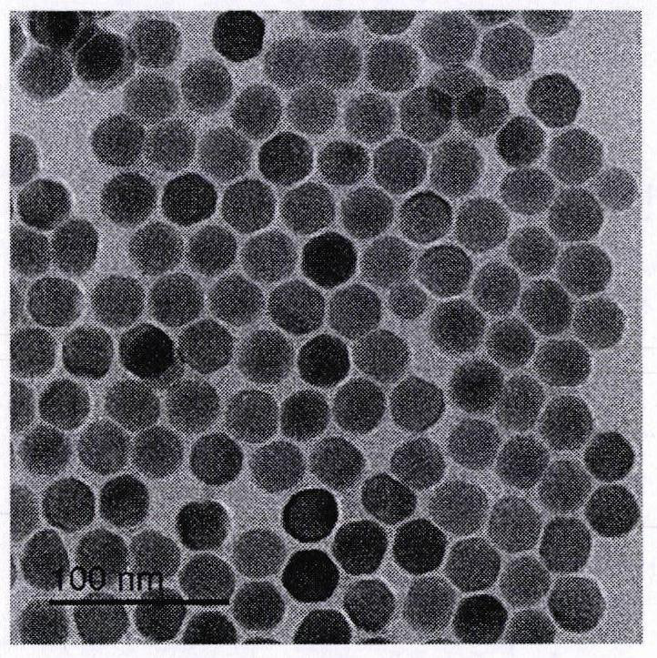 Method for detecting Ni(II) based on up-conversion fluorescence inner filter effect