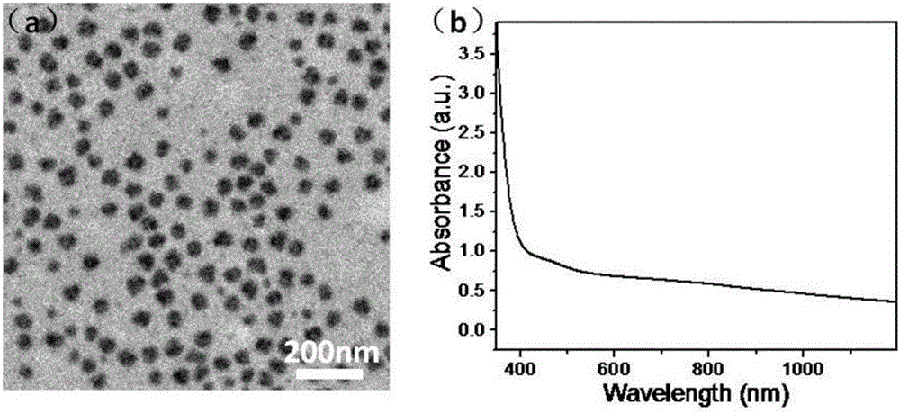 Metal ion copper-doped polyaminopyrrole composite nano-particle diagnosis and treatment reagent as well as preparation method and application thereof